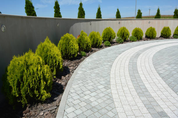 Reasons to Select Us for Your Driveway Paving Requirements in La Luz, NM
